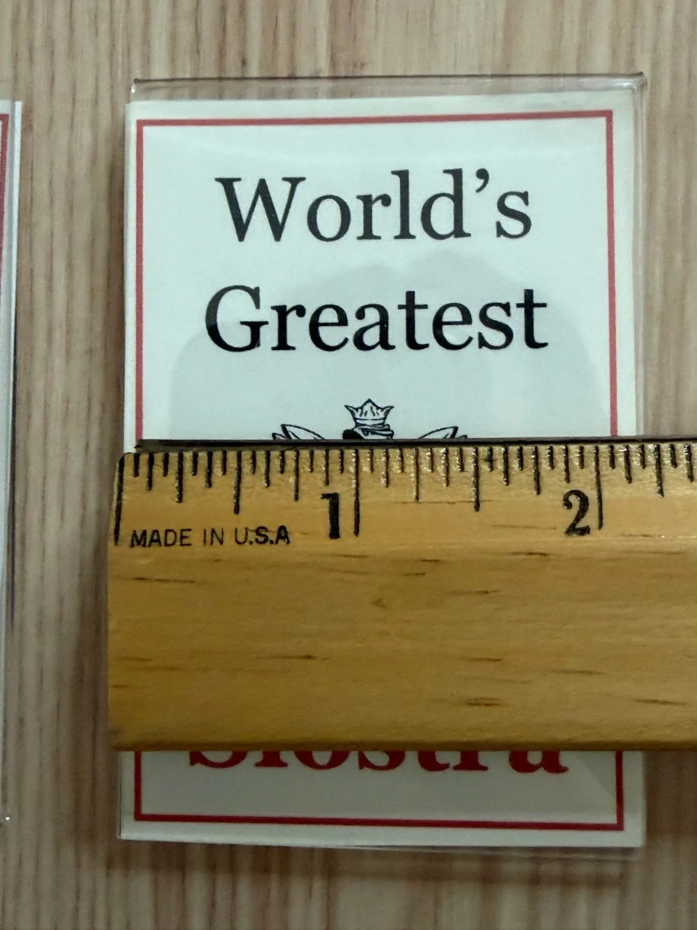 ⚡️Polish Decor Magnets • World's Greatest Sister & Aunt / Siostra & Ciocia